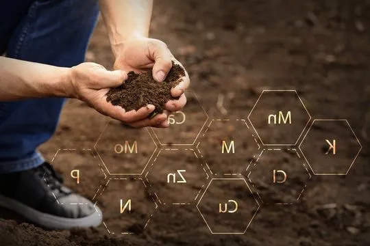 Composición del Suelo